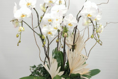 White orchid Planter, Starting, $105